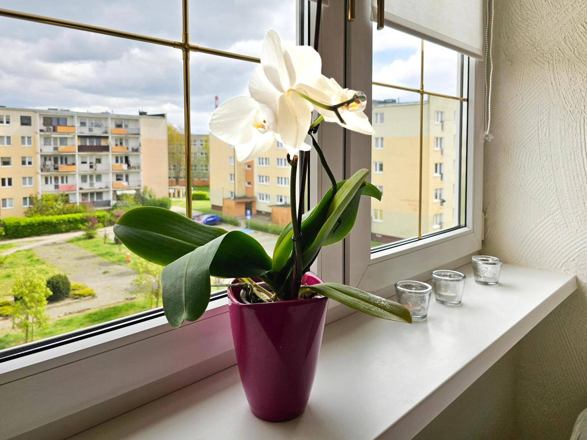 Visit Baltic - Apartament Sunny Świnoujście Esterno foto